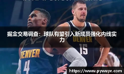 掘金交易调查：球队有望引入新成员强化内线实力