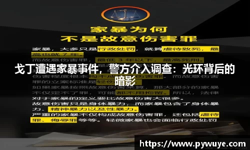 戈丁遭遇家暴事件，警方介入调查：光环背后的暗影