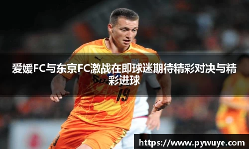 爱媛FC与东京FC激战在即球迷期待精彩对决与精彩进球