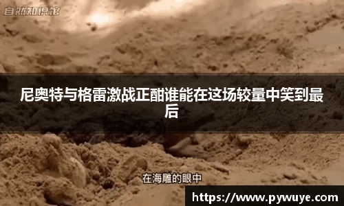 尼奥特与格雷激战正酣谁能在这场较量中笑到最后