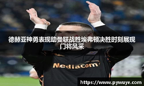 德赫亚神勇表现助曼联战胜埃弗顿决胜时刻展现门将风采