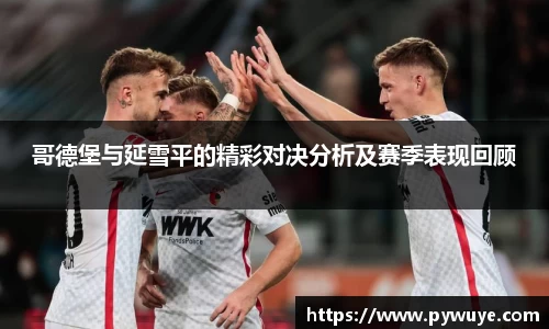 哥德堡与延雪平的精彩对决分析及赛季表现回顾